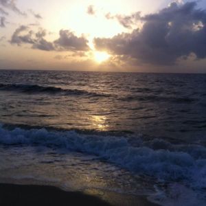 Meet your Posher, Launa